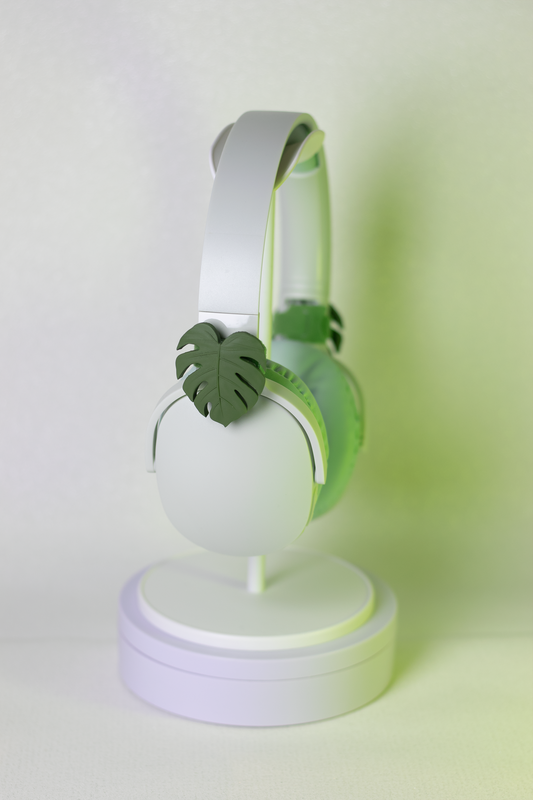 Monstera