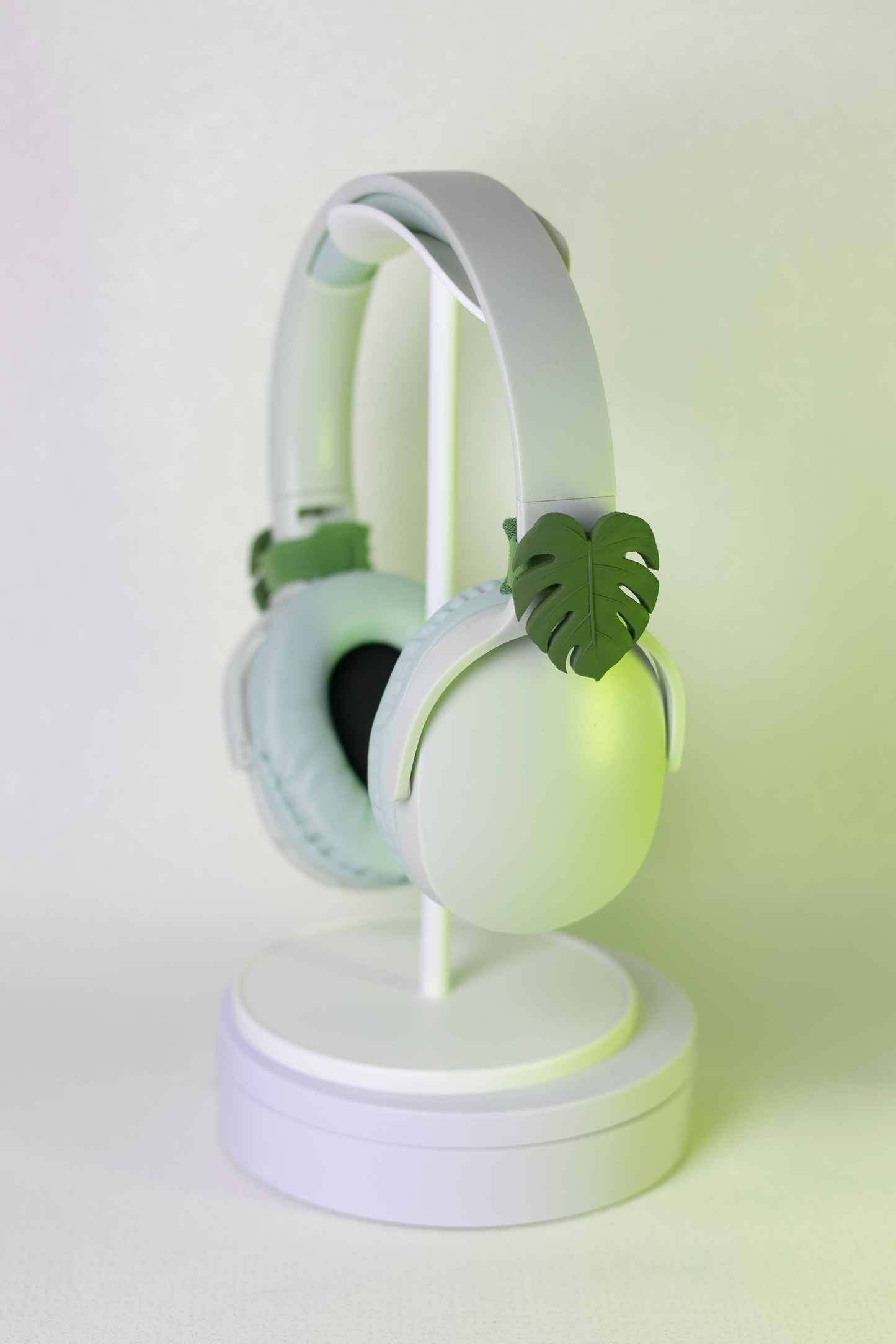 Monstera