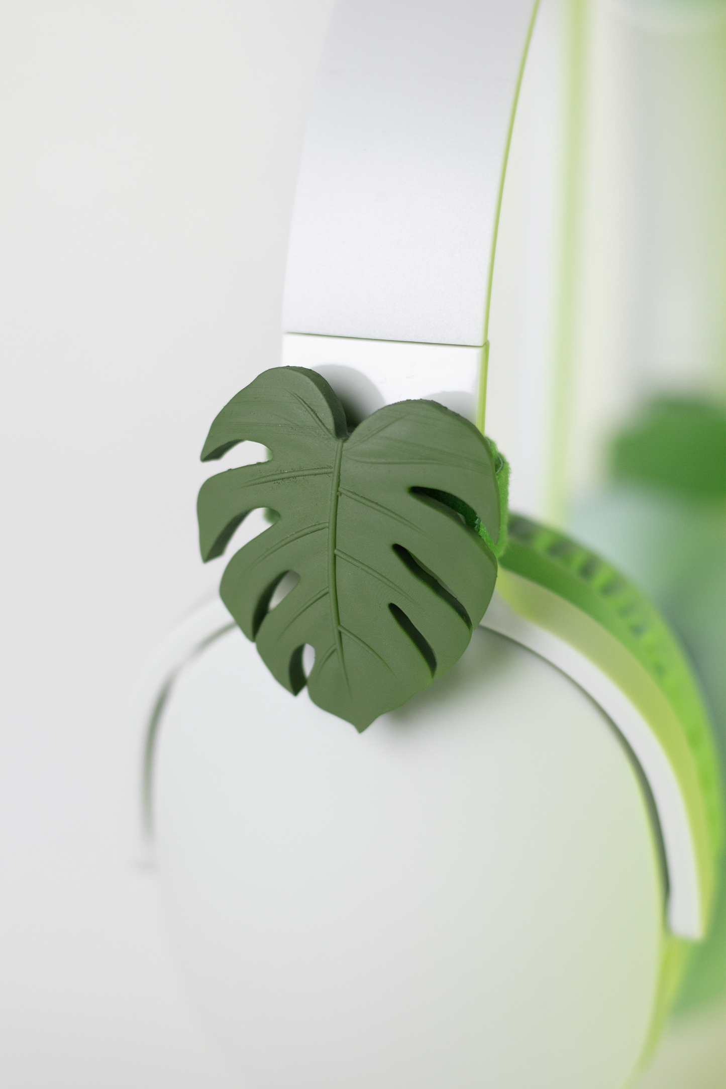 Monstera