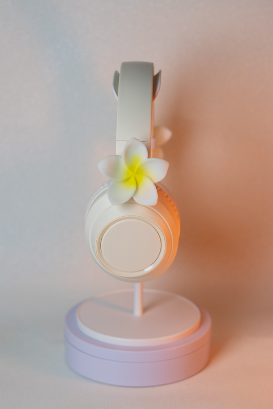 Plumeria