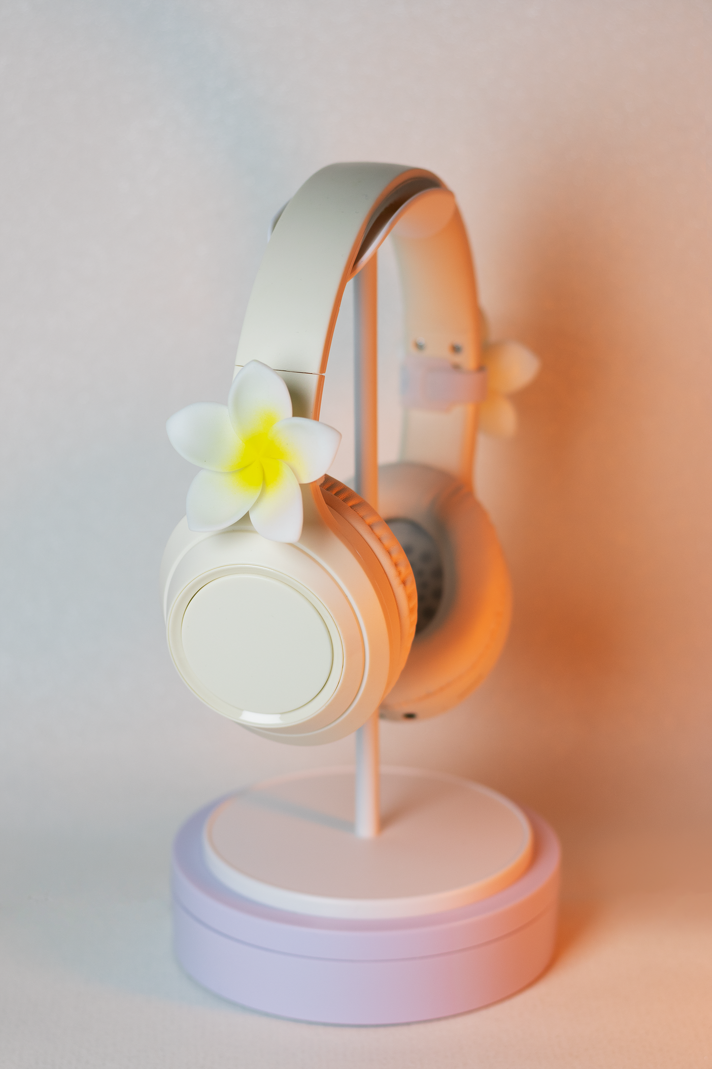 Plumeria