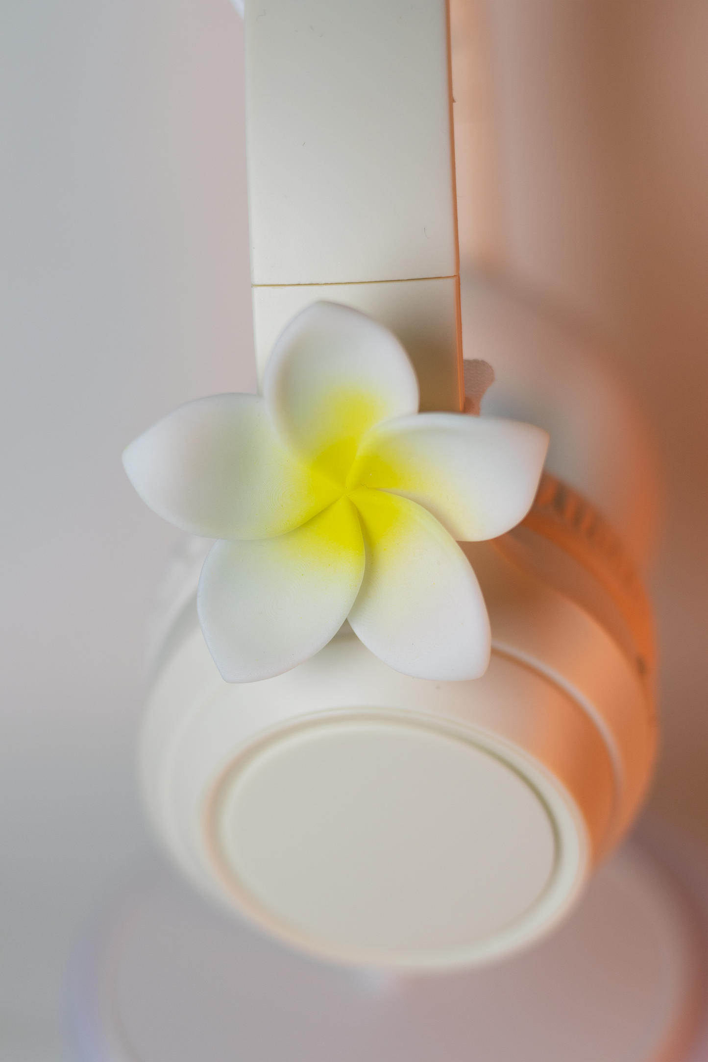 Plumeria